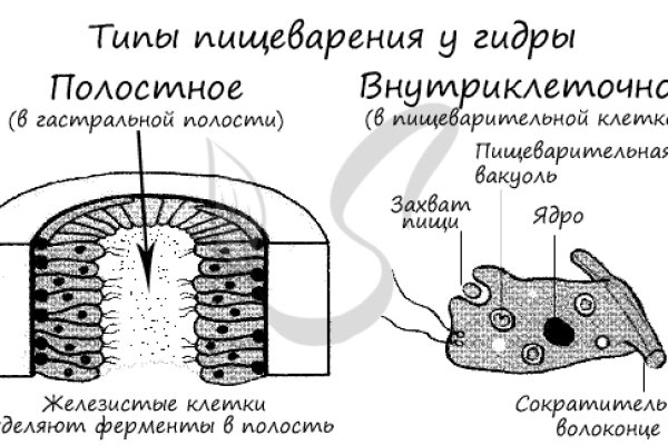 Кракен нарка шоп